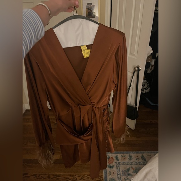 Kendall Lane Brown Feather Dress - Picture 5 of 7